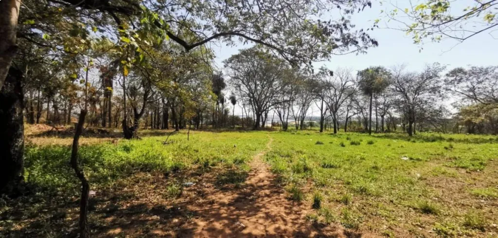 TERRENO EN VENTA – MARIANO ROQUE ALONSO — foto 3