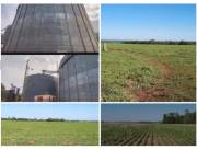 SAN ALBERTO, ALTO PARANA: 4.000 HAS, TIERRA COLORADA ALTA PRODUCTIVIDAD, SOJERA, PASTURAS