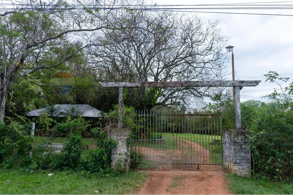 VENDO GRANJA AVICOLA EN ITACURUBI DE LA CORDILLERA — foto 2