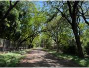 VENDO TERRENO EN SURUBI'I