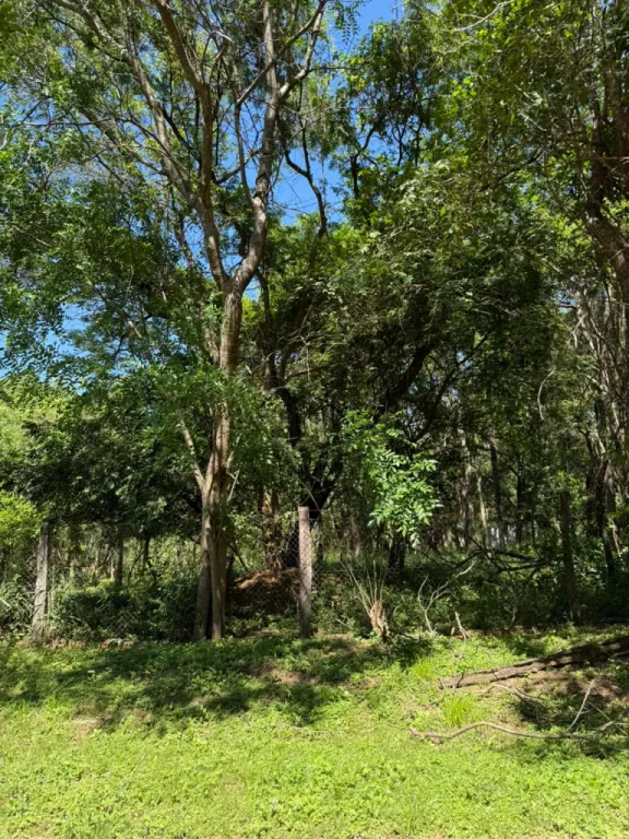 VENDO TERRENO EN SURUBI'I — foto 2