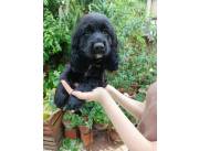 Bebes de 2 meses🥰