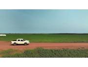 Agricultura 6500 hectareas