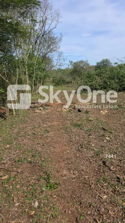 Terreno en Arroyos y Esteros — foto 3