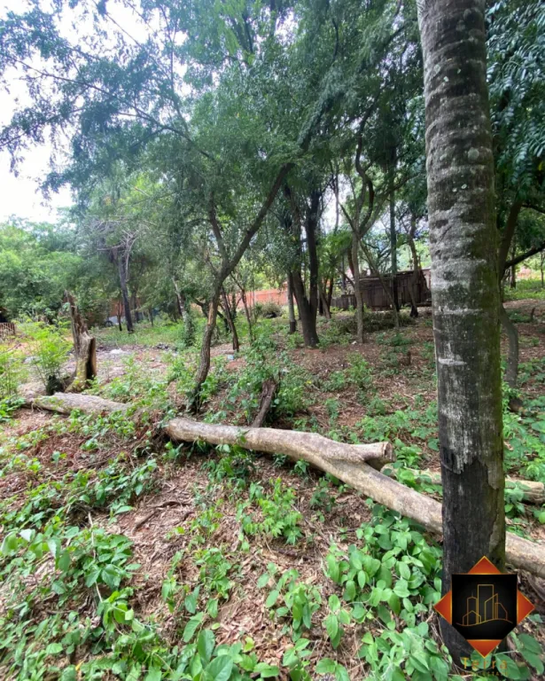 📈 TERRENOS PARA INVERSIÓN – ÑEMBY — foto 3