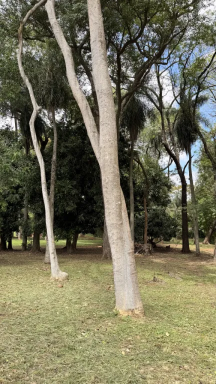 Terreno en Mariano Roque Alonso — foto 2