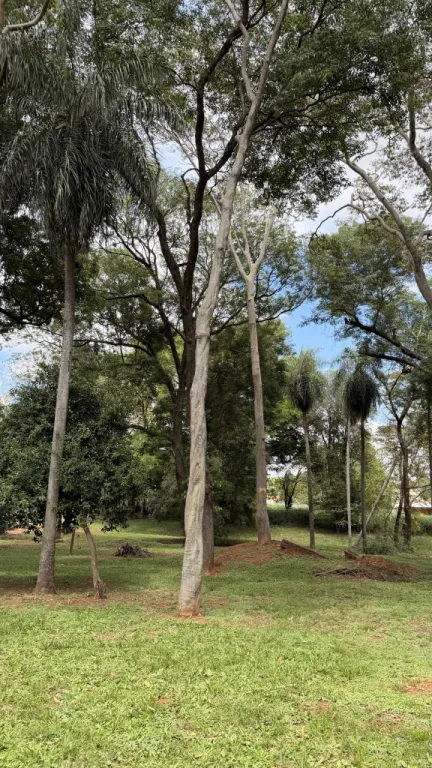 Terreno en Mariano Roque Alonso — foto 3