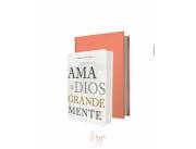 Biblia Ama a Dios Grandemente.