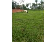 Vendo Terreno Zona de Yaguaron 800 mts de ruta 1