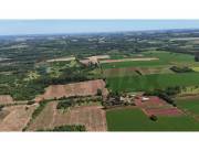 VENDO 7 HECTAREAS EN CAPITAN MIRANDA- ITAPUA