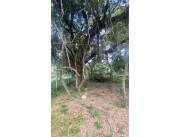 Vendo terreno en Urbanización SADI