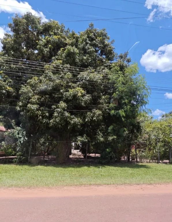 Barrio Estacion, Villarrica, Guaira — foto 2