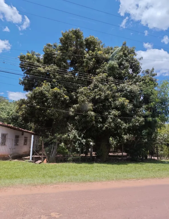 Barrio Estacion, Villarrica, Guaira — foto 3