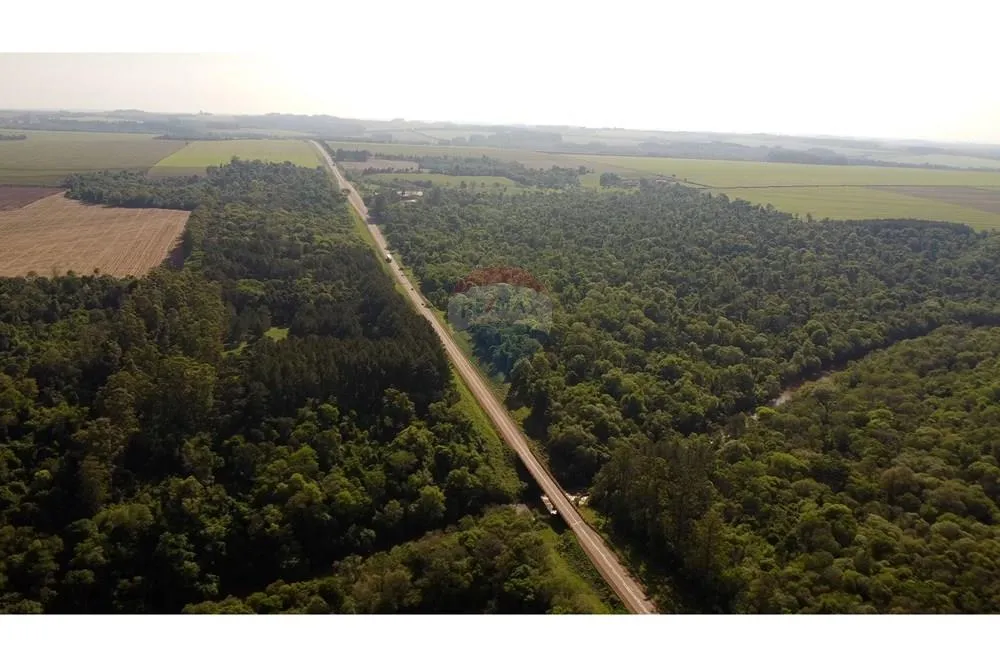 VENDO FINCA AGRICOLA EN PIRAPO — foto 3