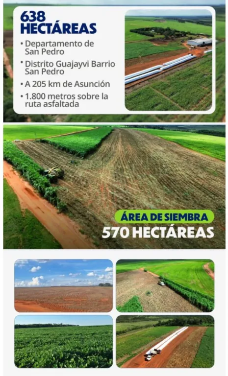 Vendo Propiedad Agrícola de 638 Hectáreas en San Pedro, Guajayvi - CLCS7597833 — foto 2