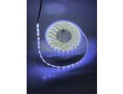 Cintas LED 12V