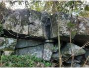 Vendo propiedad de 28 hectárea Con vivienda incluida