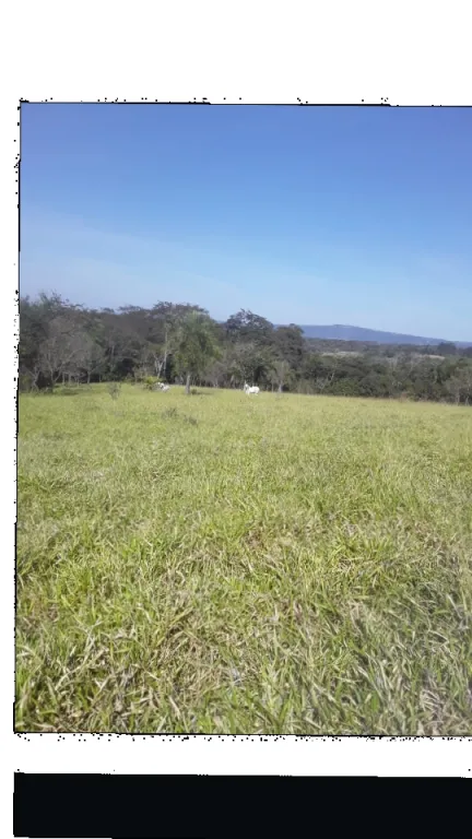 Vendo propiedad de 28 hectárea Con vivienda incluida — foto 3