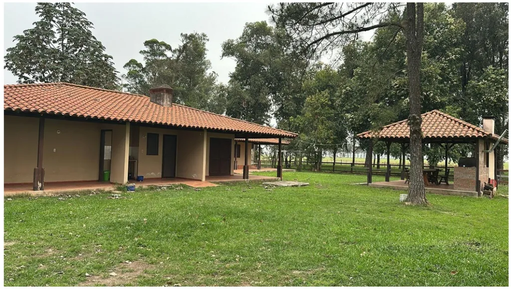 SAN PEDRO DEL PARANÁ: S RUTA 8, IDEAL P SILOS, REFORESTACION, PISTA ATERRIZAJE, HANGAR. — foto 2