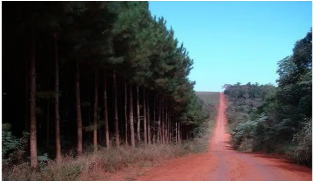SANTA ROSA DEL MONDAY, ALTO PARARA: 5.829 HAS AGRO GANADERA FORESTAL S ACUÍFERO GUARANÍ. — foto 3
