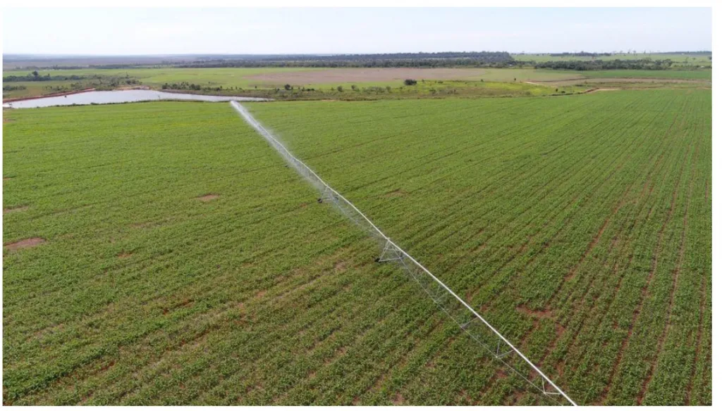 SAN PEDRO DEL PARANÁ, ITAPUA: 5.890 HAS SOJERAS, FORESTAL, S ACUÍFERO GUARANÍ. — foto 3