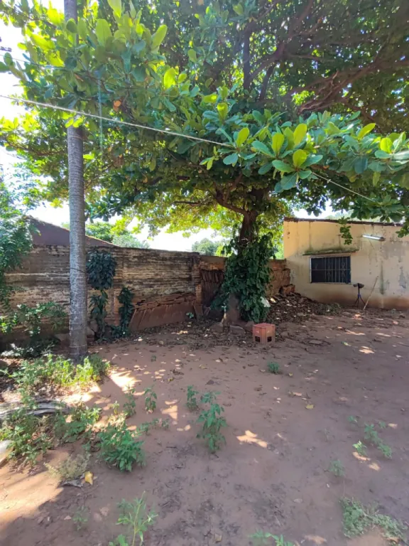 Vendo terreno zona luque — foto 2