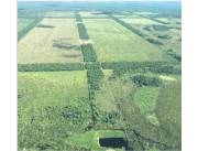 Vendo Estancia de 20.000 Hectáreas en la Zona Este de Alto Paraguay-CLCS7606330