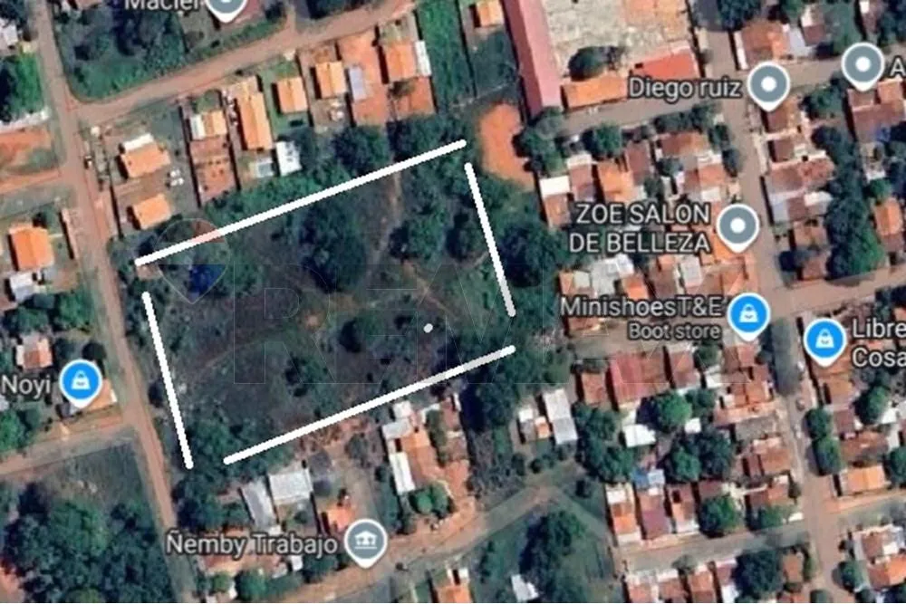 VENDO TERRENO EN ÑEMBY 10.000 M2 — foto 2