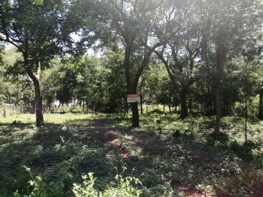 VENDO DOS TERRENOS EN LUQUE ZONA AEROPUERTO COD 3067 — foto 3