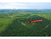 VENDO 29 HECTAREAS EN VILLA HAYES
