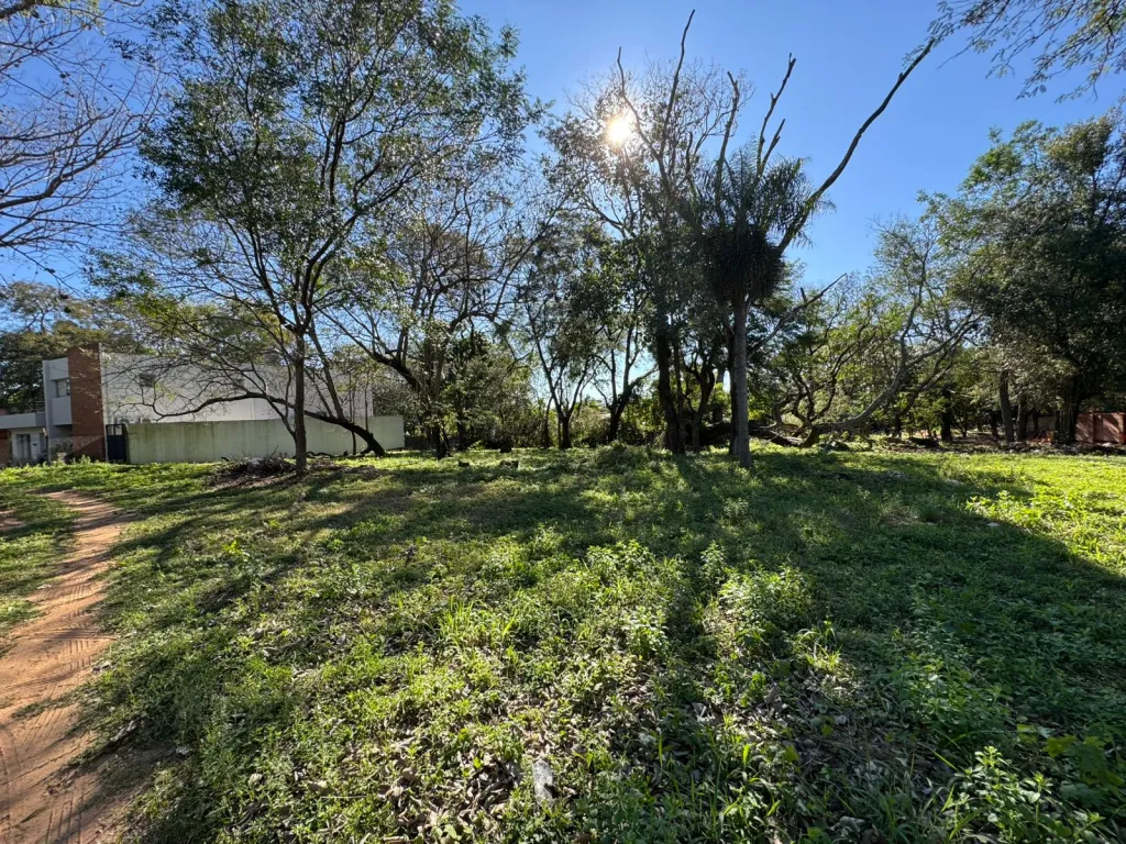 VENDO TERRENO EN SAN BERBARDINO, ZONA ANFITEATRO COD 5809 — foto 3