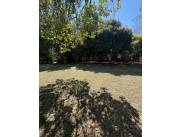 VENDO CASA QUINTA A REFACCIONAR O DEMOLER EN EL CENTRO DE AREGUA COD 5813