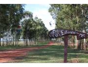 VENDO ESTANCIA FORMADA EN CAAZAPA