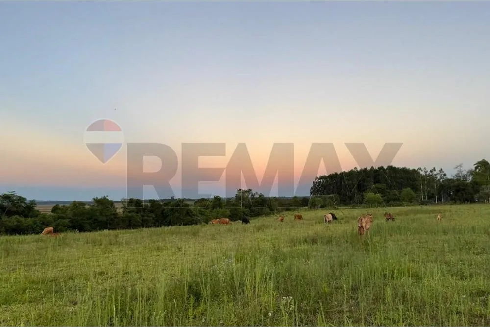 VENDO ESTANCIA FORMADA EN CAAZAPA — foto 3