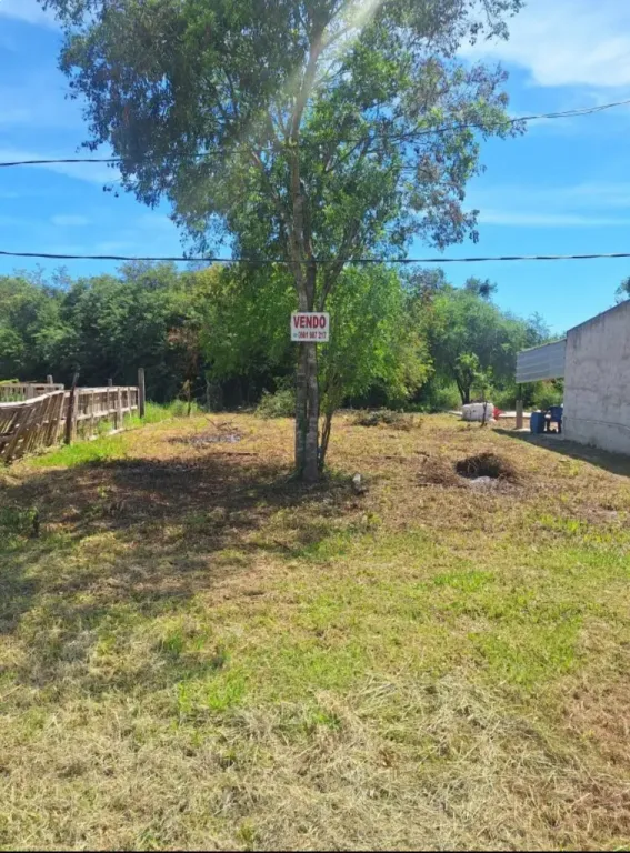 Vendo lote en José Falcón barrio San Francisco — foto 2