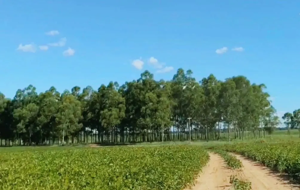 Vendo Propiedad Agrícola de 642 Has en el Departamento de Caazapá - CLCS7611677 — foto 2