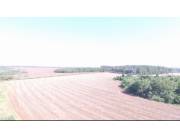 Campo Agrícola/Ganadero Mecanizado en 3 de Mayo - 786 Ha.