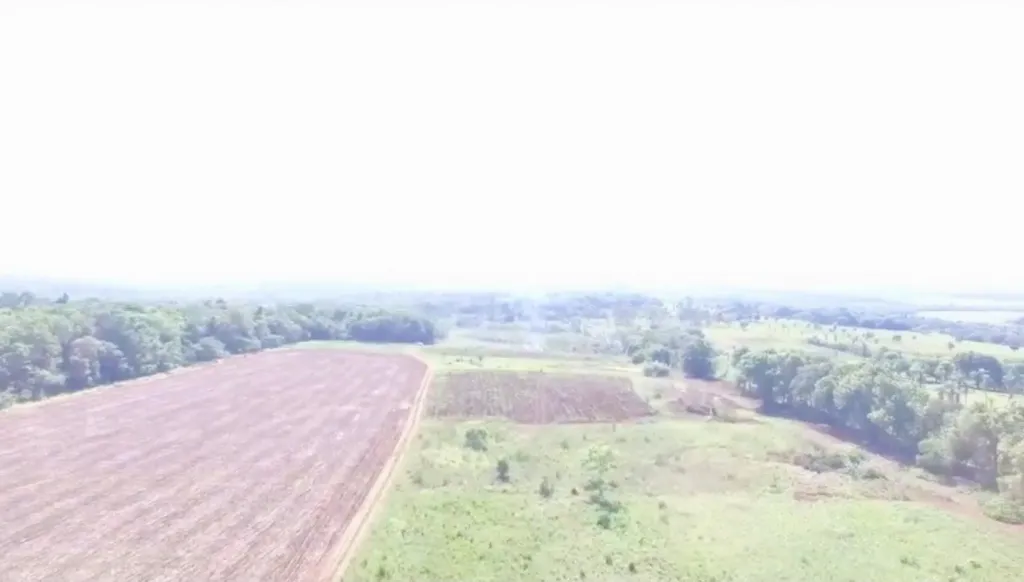 Campo AgrícolaGanadero Mecanizado en 3 de Mayo - 786 Ha. — foto 2
