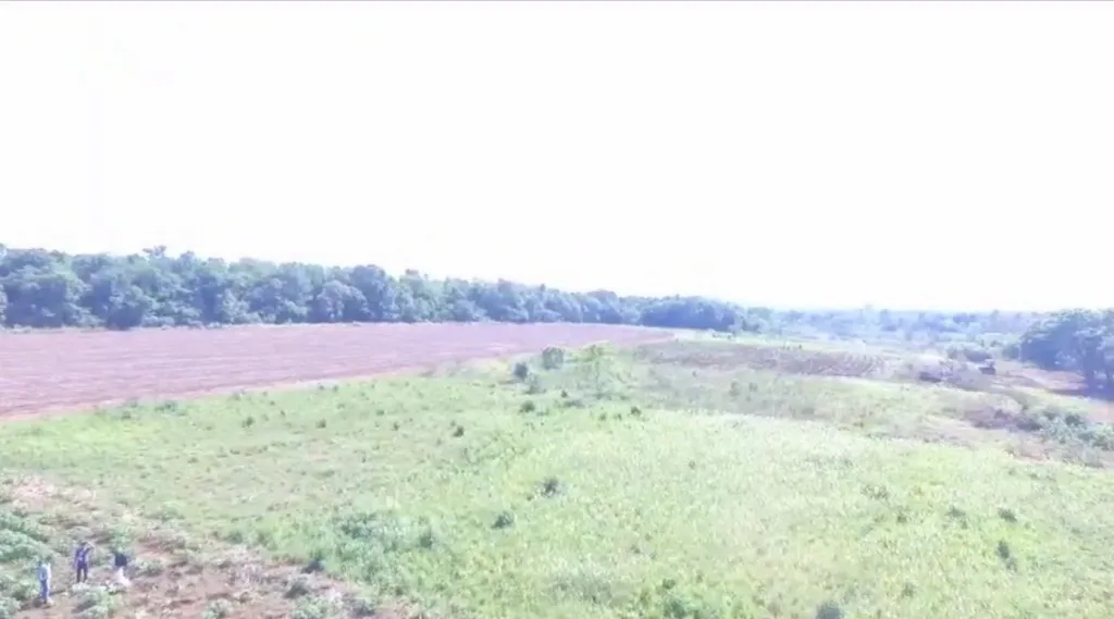 Campo AgrícolaGanadero Mecanizado en 3 de Mayo - 786 Ha. — foto 3