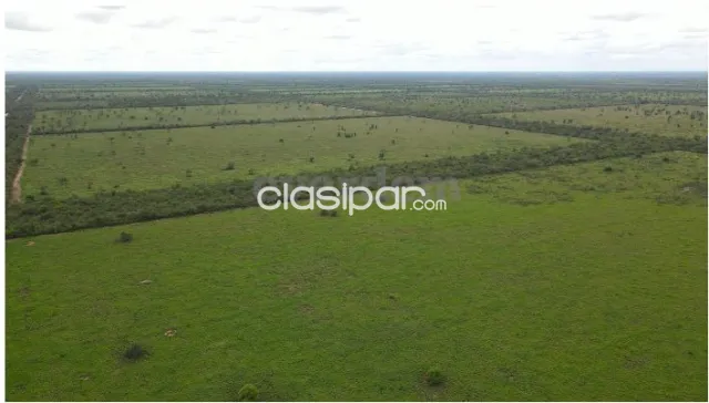 Vendo Campo de 4.000 Hectáreas en Filadelfia, Boquerón - CLCS7612331 — foto 3