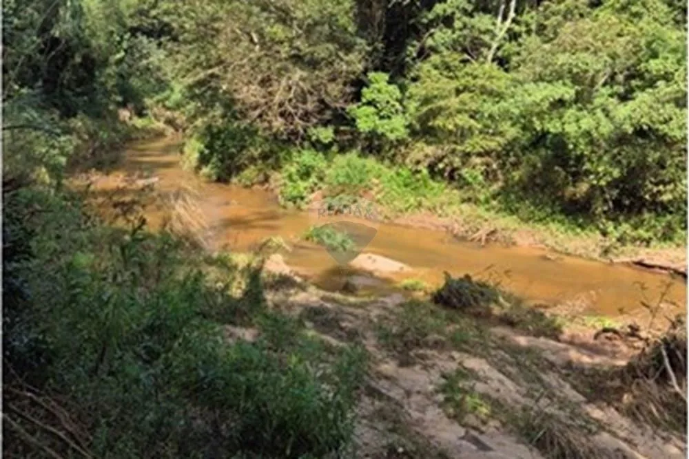 VENDO 3.5 HECTAREAS EN EUSEBIO AYALA — foto 3