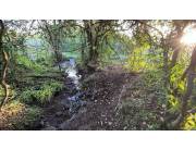 Propiedad de 10 hectáreas en Escobar 🌄 🛣A 7 km de la Ruta Paraguarí Villarrica PY10