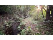 Propiedad de 10 hectáreas en Escobar 🌄