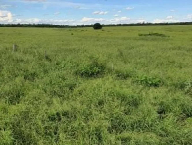 Vendo Campo de 20.057 Hectáreas en Bahía Negra, Alto Paraguay - CLCS7614623 — foto 2