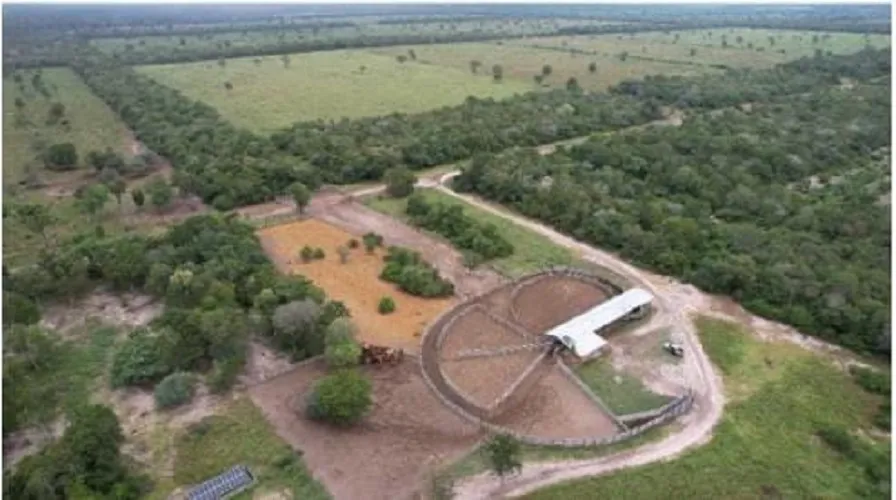Vendo Campo de 20.057 Hectáreas en Bahía Negra, Alto Paraguay - CLCS7614623 — foto 3