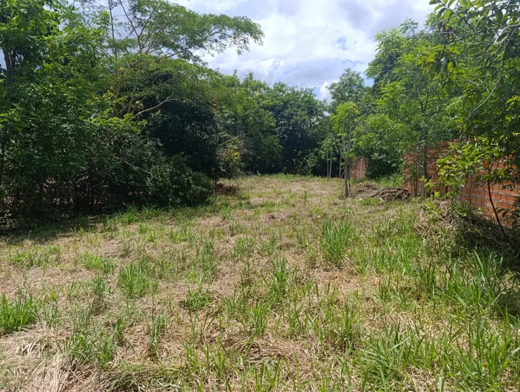 Vendo terreno en MRA — foto 2