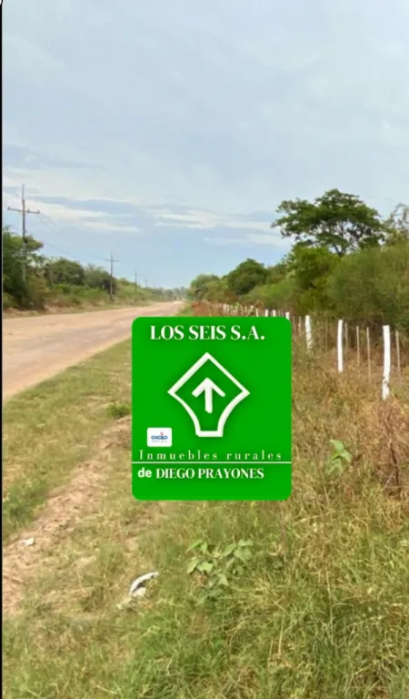 VENDO 4 HECTAREAS — foto 3