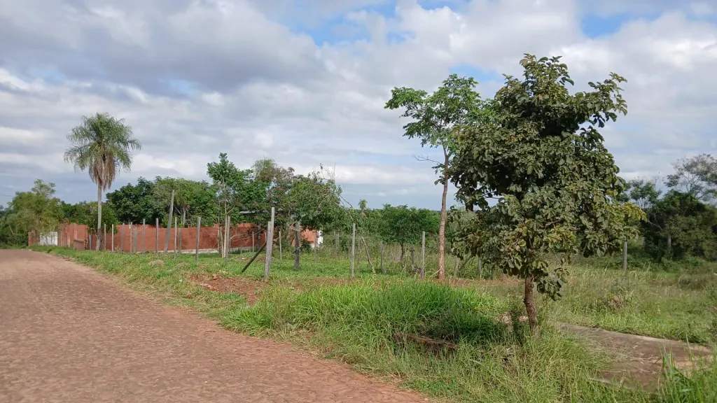 Terreno en Luque — foto 2