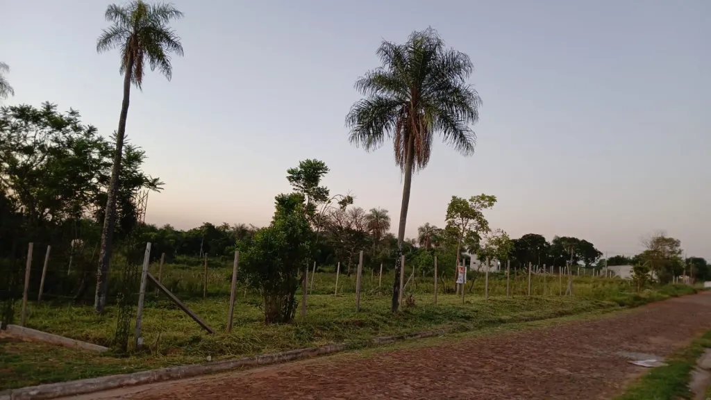 Terreno en Luque — foto 3