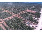 EN VENTA TERRENO EN POZO HONDO EN BOQUERON CHACO